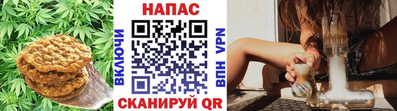 хочу наркоту  Пустошка  Еда ТГК марихуана 