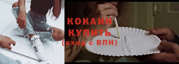 мяу мяу мука Аркадак