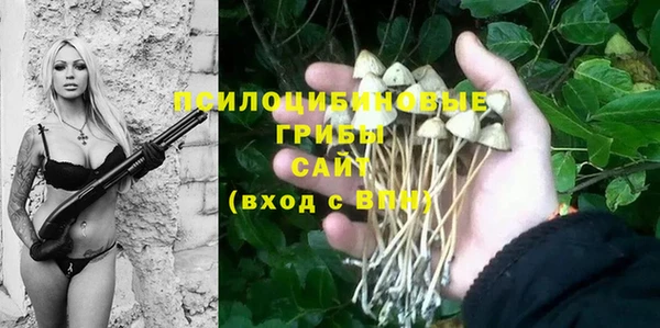 ПСИЛОЦИБИНОВЫЕ ГРИБЫ Арсеньев