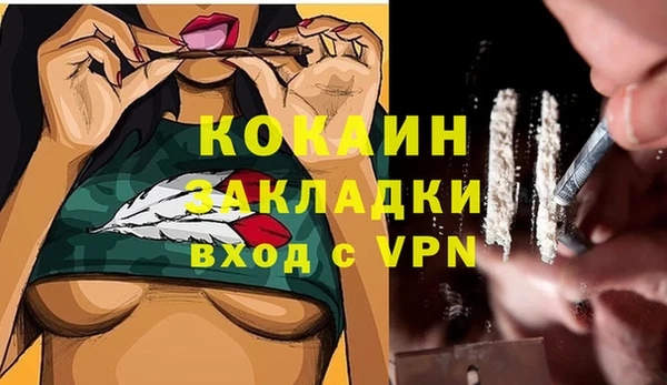 мяу мяу мука Аркадак
