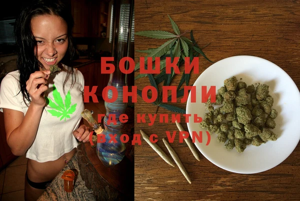 ПСИЛОЦИБИНОВЫЕ ГРИБЫ Арсеньев