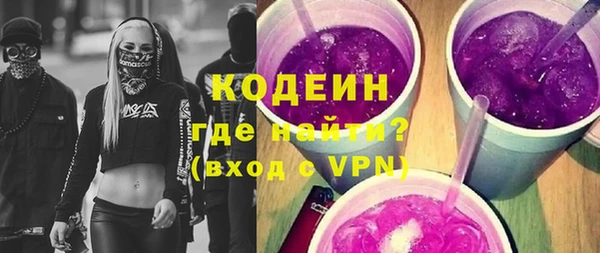 ПСИЛОЦИБИНОВЫЕ ГРИБЫ Арсеньев