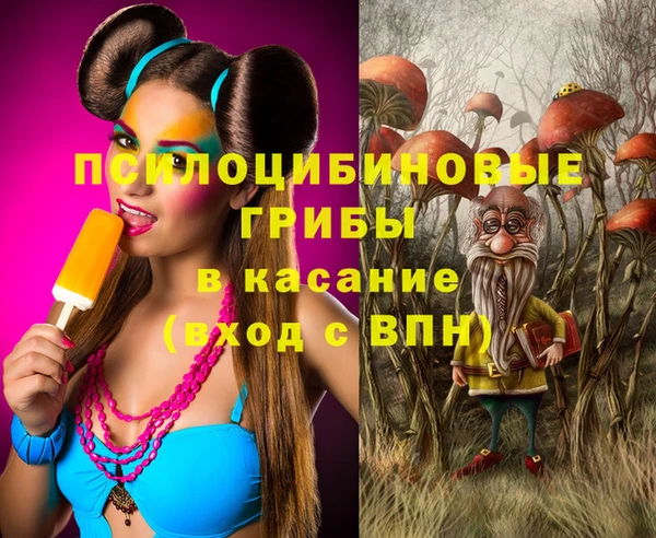 мяу мяу мука Аркадак